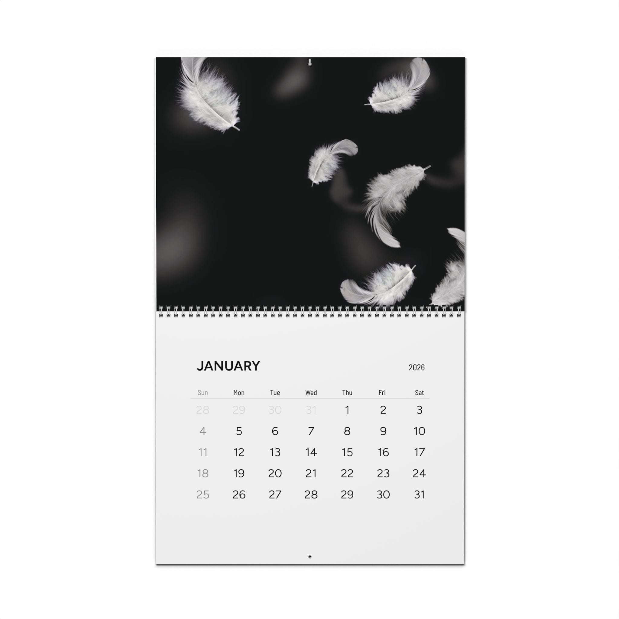 2026 Purely Fly Wall Calendar